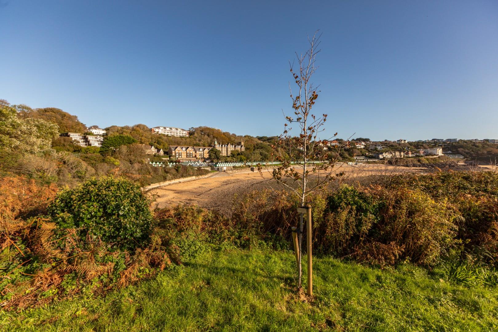 Woodridge court, Langland, Mumbles, Swansea, SA3 4TH